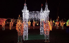 Sugar Land Holiday Lights Limo