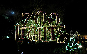 Houston Zoo Lights Limo